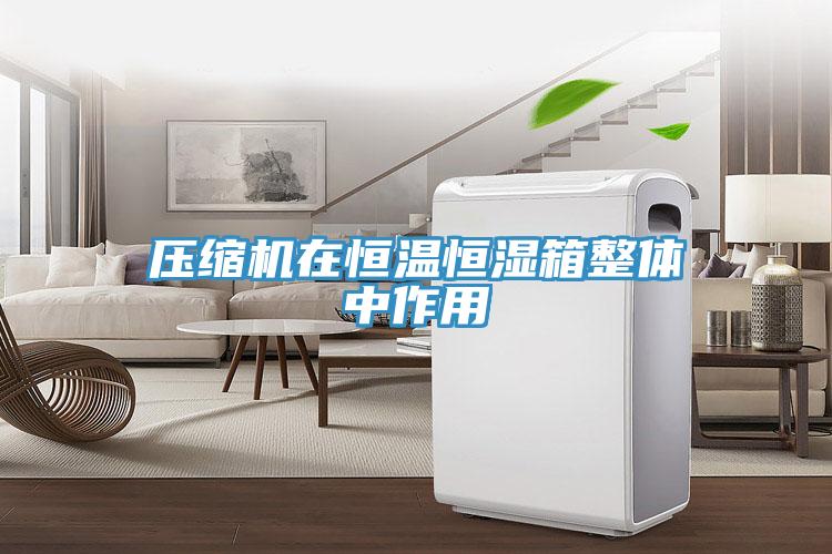 壓縮機在恒溫恒濕箱整體中作用