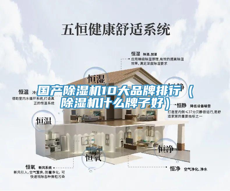 國產除濕機10大品牌排行（除濕機什么牌子好）