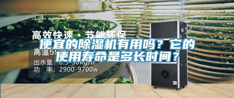 便宜的除濕機有用嗎？它的使用壽命是多長時間？