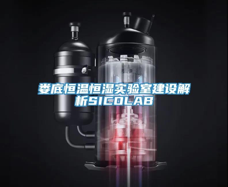婁底恒溫恒濕實驗室建設解析SICOLAB