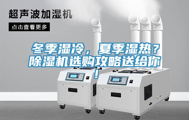 冬季濕冷，夏季濕熱？除濕機選購攻略送給你！
