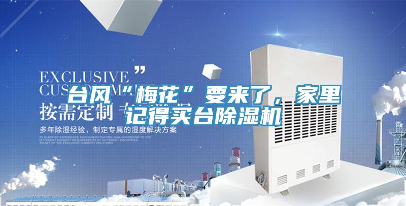 臺風“梅花”要來了，家里記得買臺除濕機