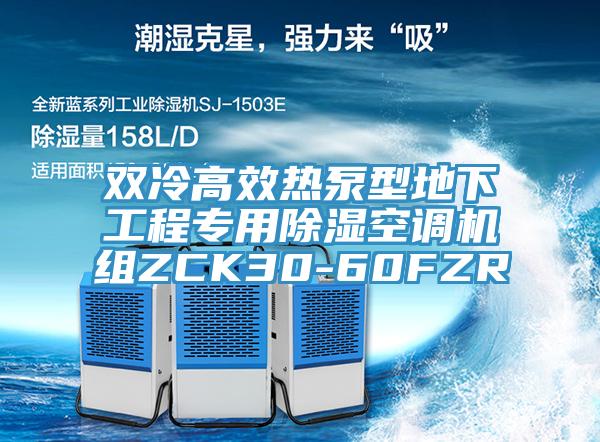 雙冷高效熱泵型地下工程專用除濕空調機組ZCK30-60FZR