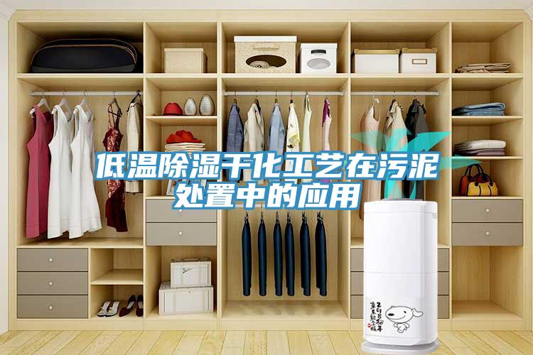 低溫除濕干化工藝在污泥處置中的應用