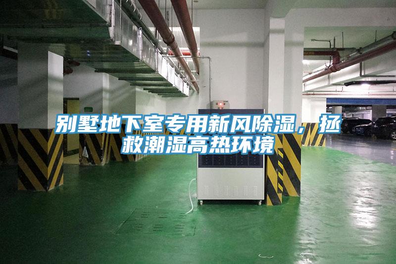 別墅地下室專用新風除濕，拯救潮濕高熱環境
