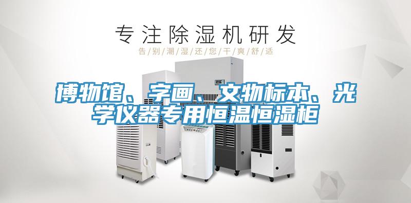 博物館、字畫、文物標本、光學儀器專用恒溫恒濕柜