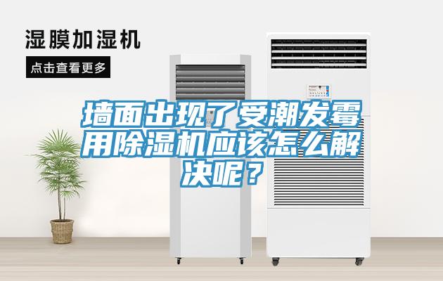 墻面出現了受潮發霉用除濕機應該怎么解決呢？