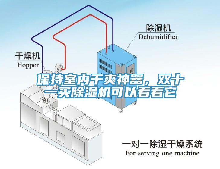 保持室內干爽神器，雙十一買除濕機可以看看它