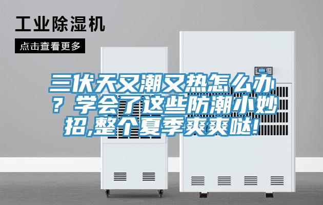 三伏天又潮又熱怎么辦？學會了這些防潮小妙招,整個夏季爽爽噠!