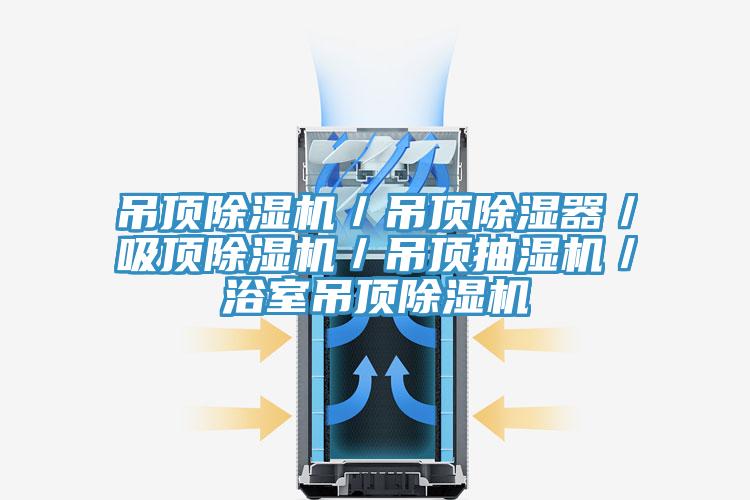 吊頂除濕機／吊頂除濕器／吸頂除濕機／吊頂抽濕機／浴室吊頂除濕機