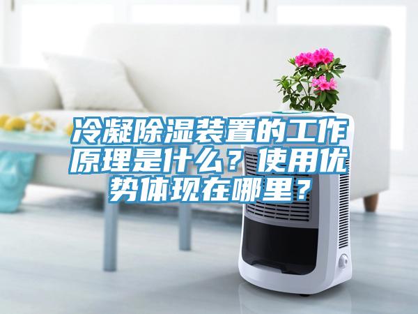 冷凝除濕裝置的工作原理是什么？使用優勢體現在哪里？