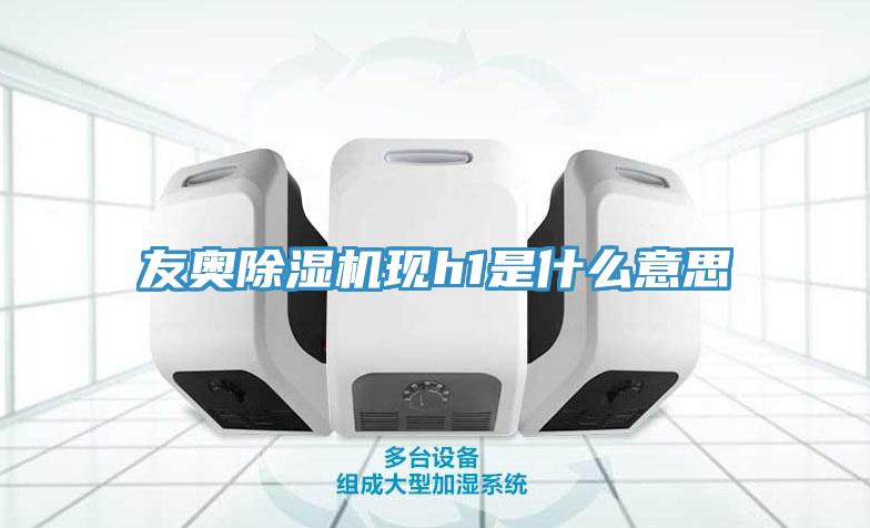 友奧除濕機現h1是什么意思