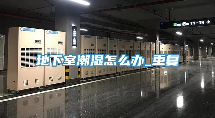 地下室潮濕怎么辦_重復