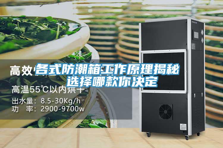 各式防潮箱工作原理揭秘 選擇哪款你決定