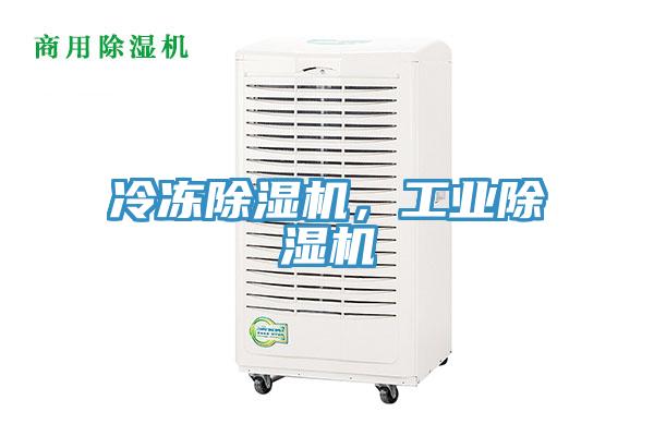冷凍除濕機，工業除濕機