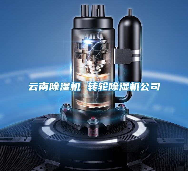 云南除濕機 轉輪除濕機公司