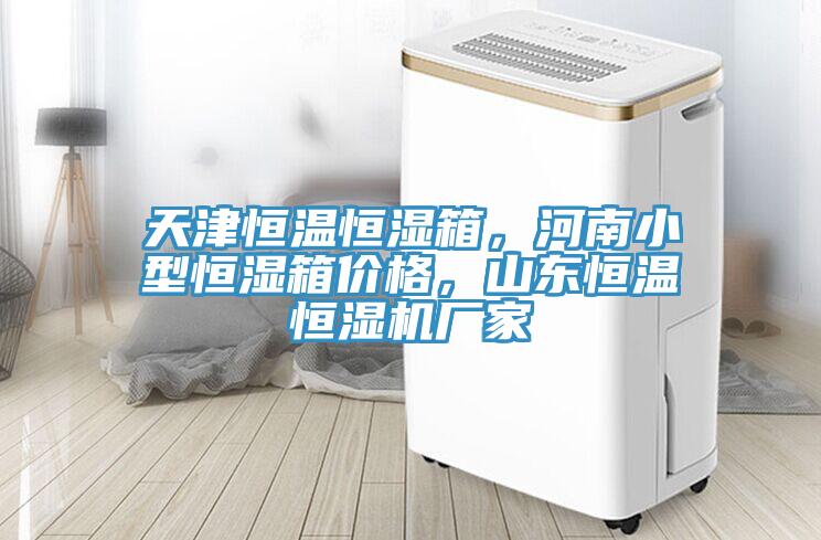 天津恒溫恒濕箱，河南小型恒濕箱價格，山東恒溫恒濕機廠家