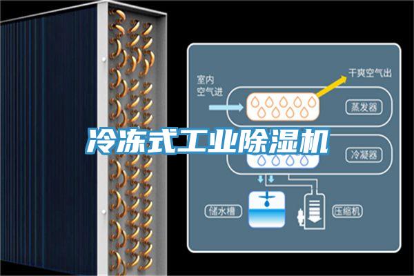 冷凍式工業除濕機