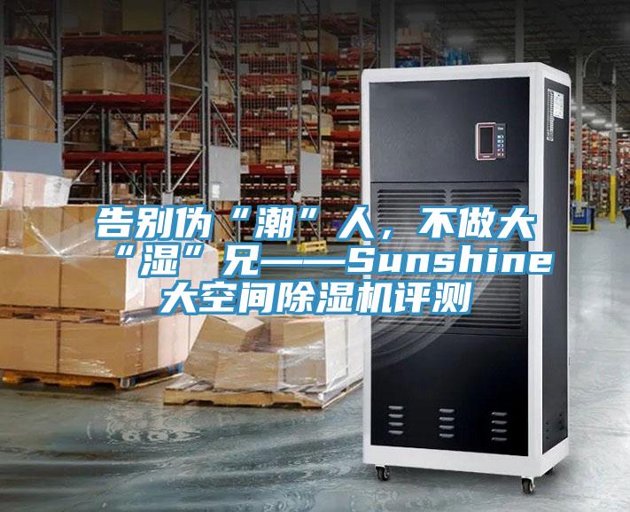 告別偽“潮”人，不做大“濕”兄——Sunshine大空間除濕機評測