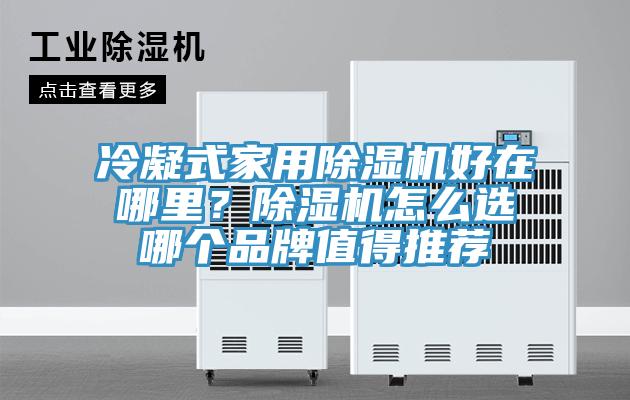 冷凝式家用除濕機好在哪里？除濕機怎么選哪個品牌值得推薦