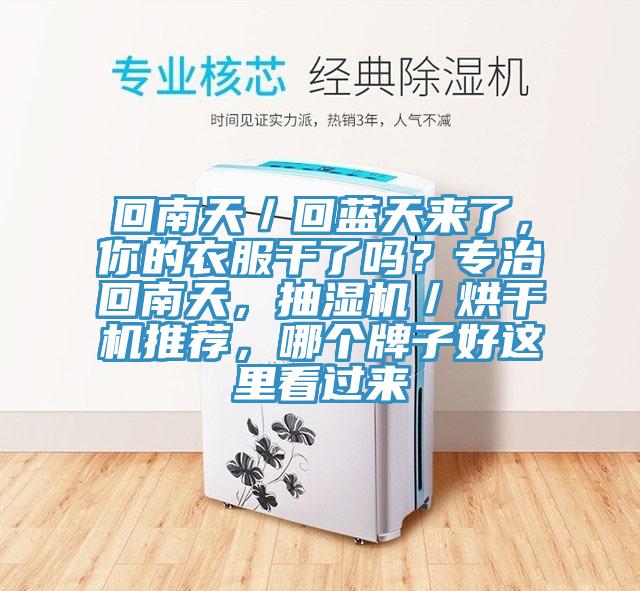 回南天／回藍天來了，你的衣服干了嗎？專治回南天，抽濕機／烘干機推薦，哪個牌子好這里看過來