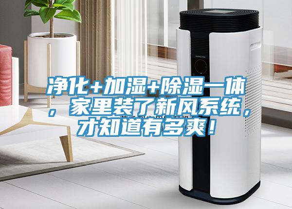 凈化+加濕+除濕一體，家里裝了新風系統，才知道有多爽！