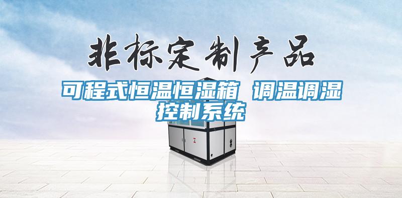 可程式恒溫恒濕箱 調溫調濕控制系統