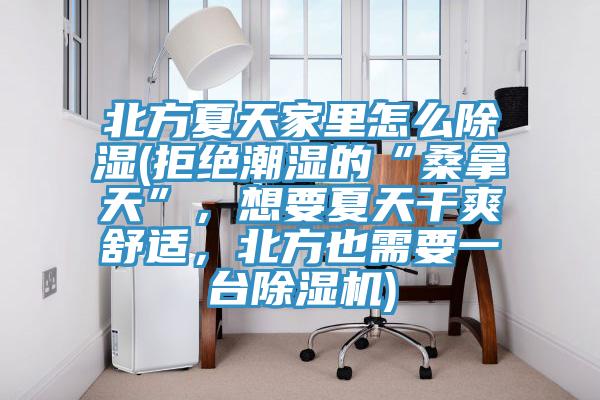 北方夏天家里怎么除濕(拒絕潮濕的“桑拿天”，想要夏天干爽舒適，北方也需要一臺除濕機)