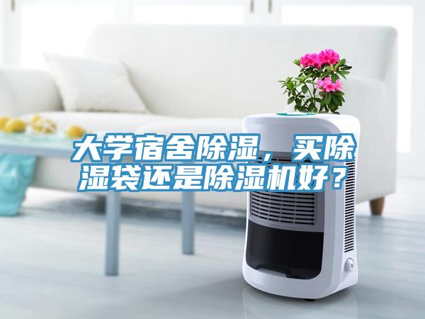 大學宿舍除濕，買除濕袋還是除濕機好？