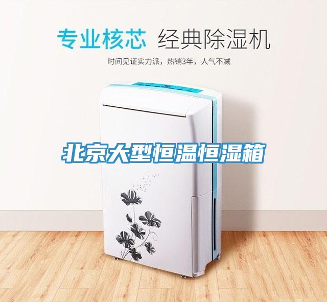 北京大型恒溫恒濕箱