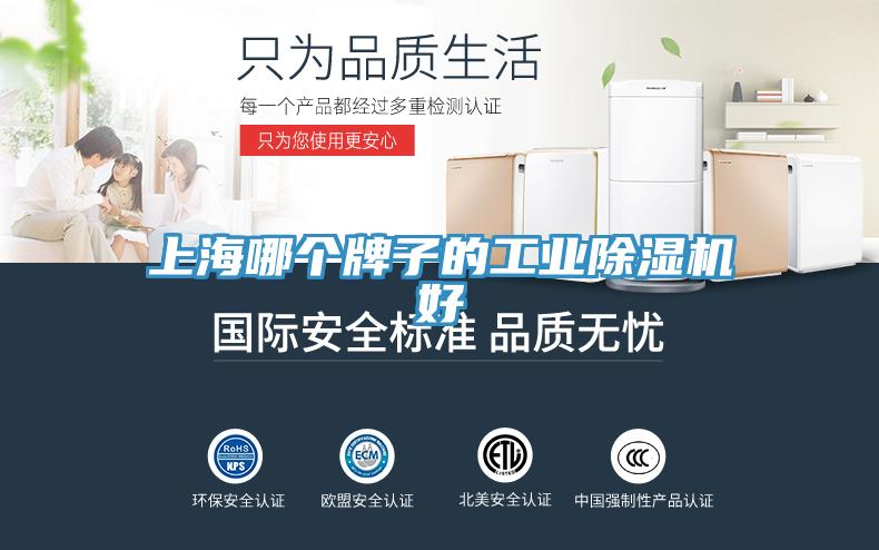 上海哪個牌子的工業除濕機好
