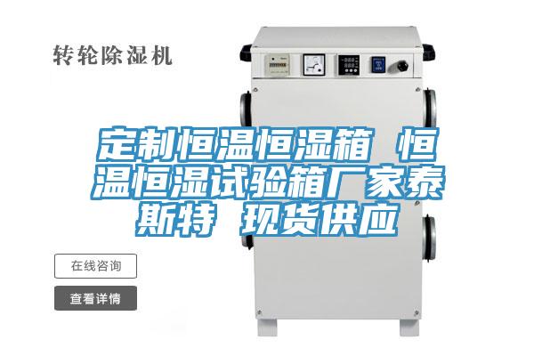 定制恒溫恒濕箱 恒溫恒濕試驗箱廠家泰斯特 現貨供應