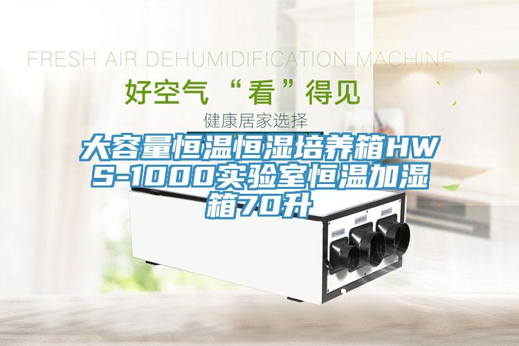 大容量恒溫恒濕培養箱HWS-1000實驗室恒溫加濕箱70升