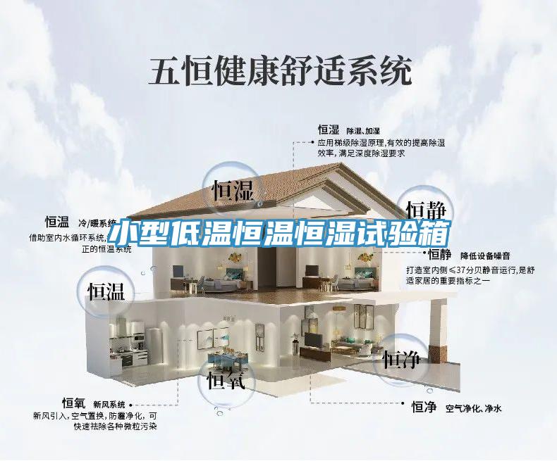 小型低溫恒溫恒濕試驗箱