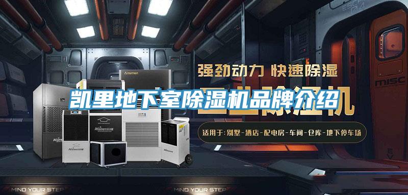 凱里地下室除濕機品牌介紹