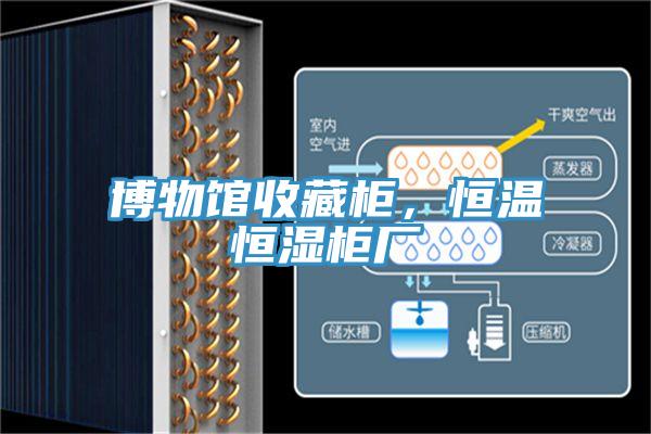博物館收藏柜，恒溫恒濕柜廠