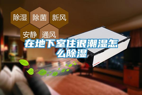 在地下室住很潮濕怎么除濕