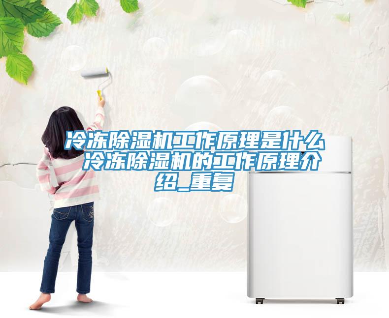 冷凍除濕機工作原理是什么 冷凍除濕機的工作原理介紹_重復