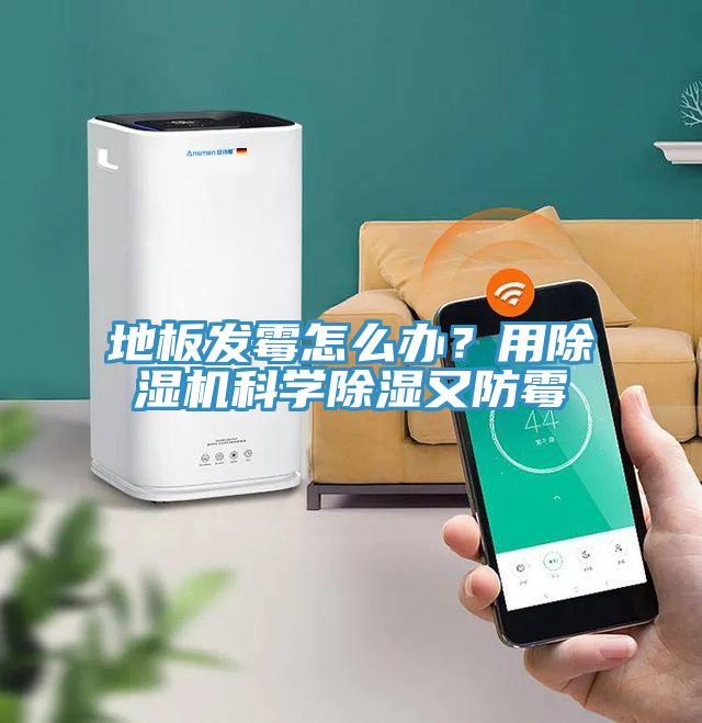 地板發霉怎么辦？用除濕機科學除濕又防霉