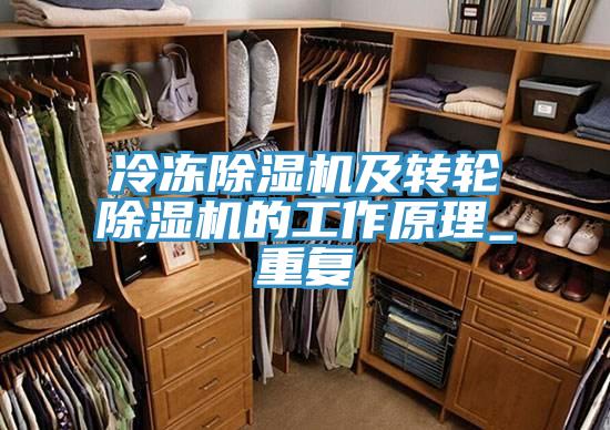 冷凍除濕機及轉輪除濕機的工作原理_重復