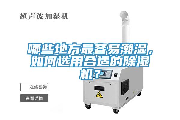 哪些地方最容易潮濕，如何選用合適的除濕機？