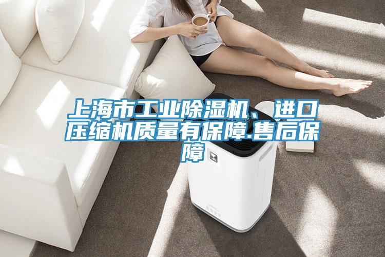 上海市工業除濕機、進口壓縮機質量有保障.售后保障