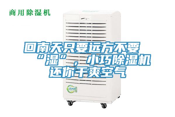 回南天只要遠方不要“濕”，小巧除濕機還你干爽空氣