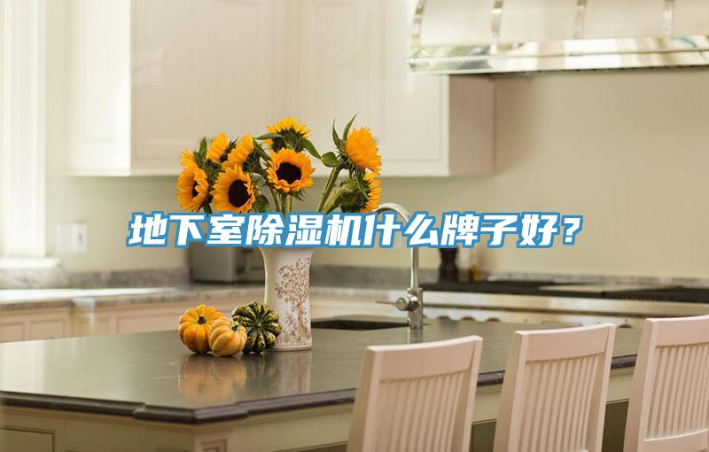 地下室除濕機什么牌子好？