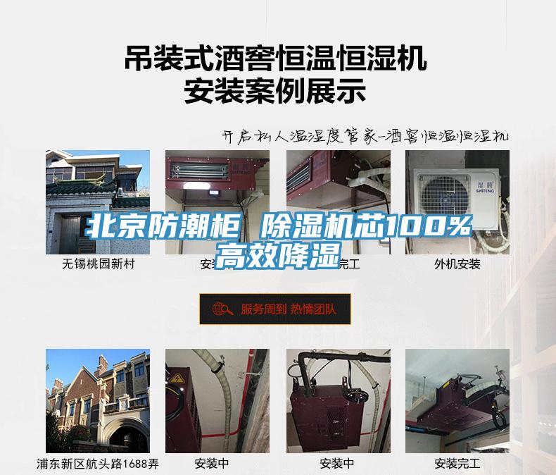 北京防潮柜 除濕機芯100%高效降濕