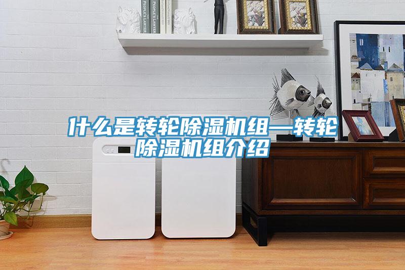 什么是轉輪除濕機組—轉輪除濕機組介紹