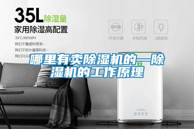 哪里有賣除濕機的—除濕機的工作原理