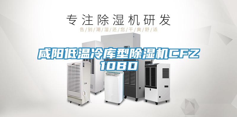 咸陽低溫冷庫型除濕機CFZ10BD