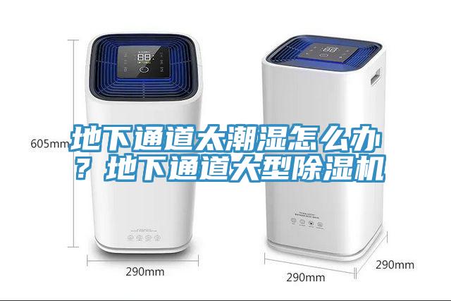 地下通道太潮濕怎么辦？地下通道大型除濕機