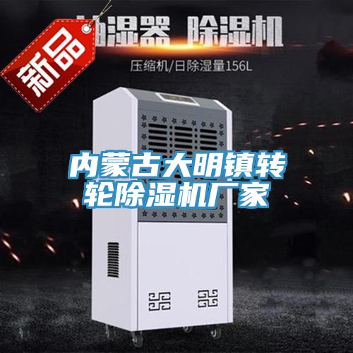 內蒙古大明鎮轉輪除濕機廠家